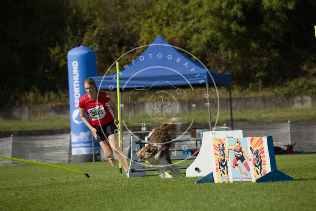 0L8A8753 | Hundefotografie, Tierfotograf, Pfotenfotografie, Fotoshooting Hund, Hunde Portrait, Hundesport, Hundeportraits, Heideshooting, Hunde, Sportfotograf, Hundefotograf, Turnierhundsport, THS,  - Realisiert mit Pictrs.com