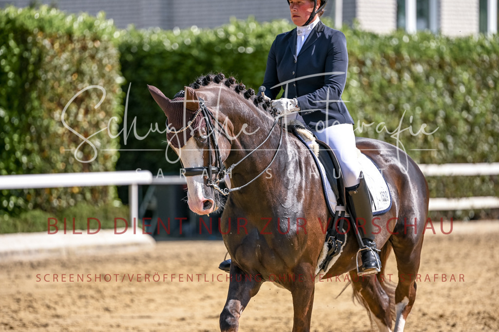 Schugtsche-Aluta25-52.Dressurprf.M2Kand-376 | Schugtsche Fotografie - Realisiert mit Pictrs.com