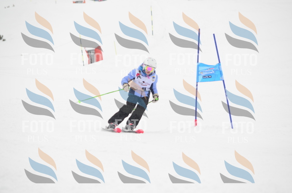 C0494 | holidayphoto