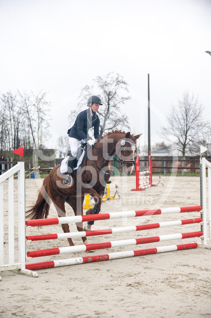 DSC_8489 | sattelsport - Realisiert mit Pictrs.com