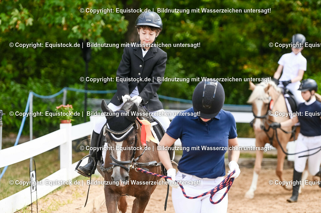 20230716_11_Führzügel-WB_0126 | equistock