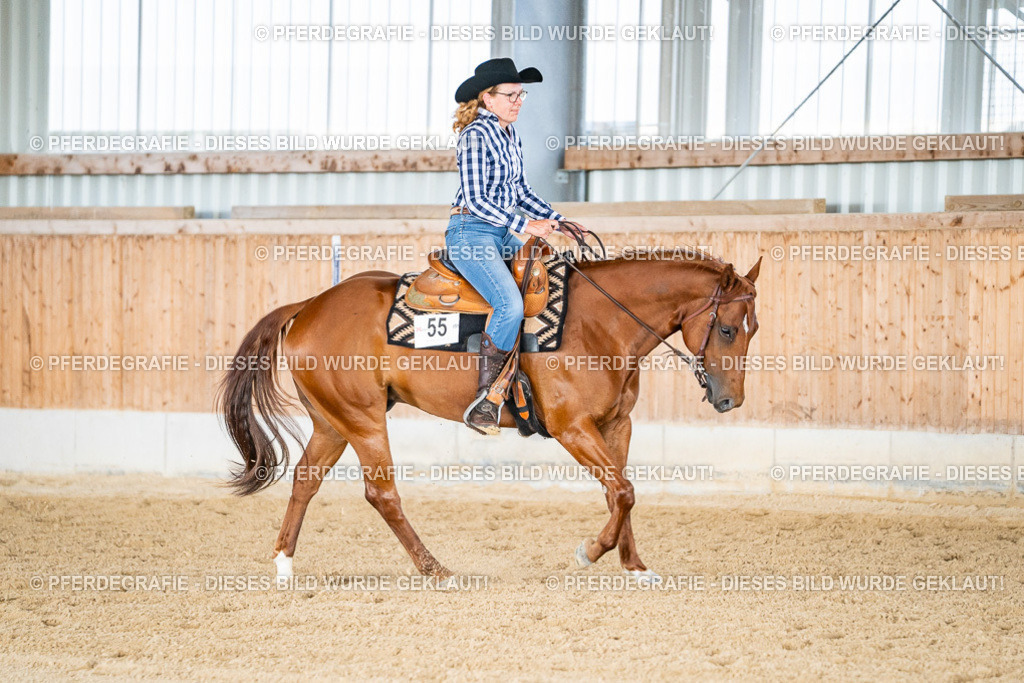 DSC08821 | Pferdegrafie