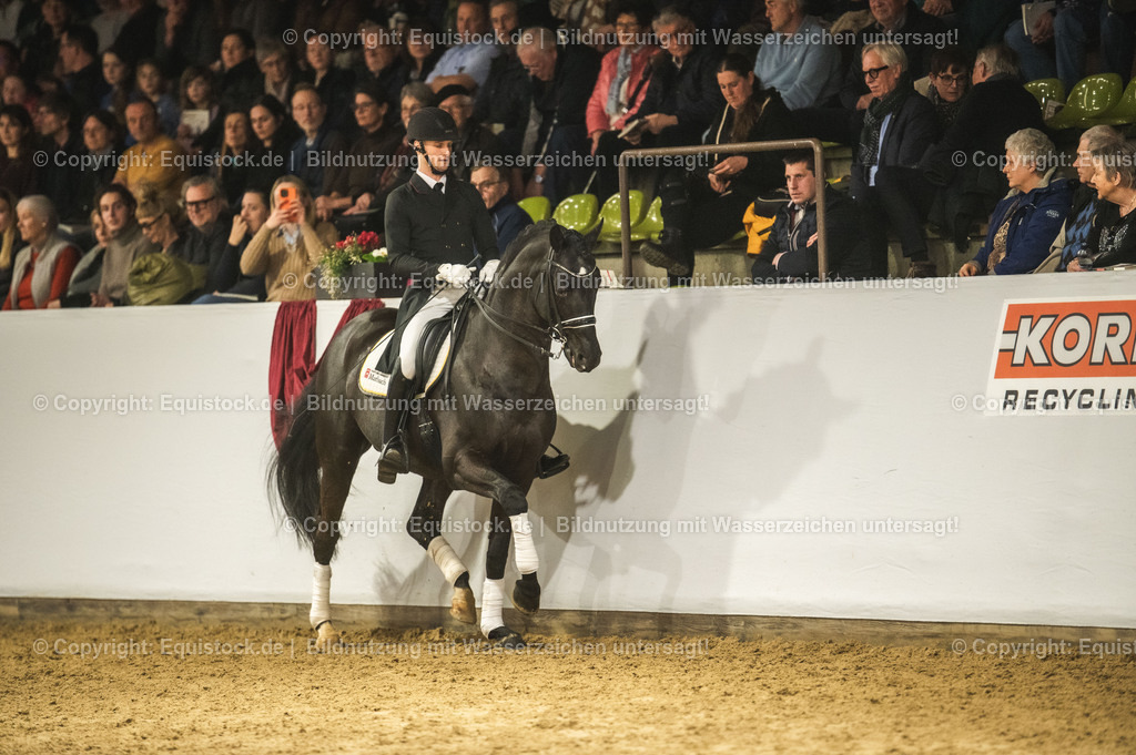 20240302_Hengstvorstellung_Marbach_TOMsPiC_1552 | equistock