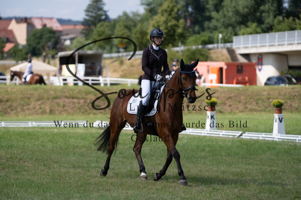 A7V09701 | Pferdefotograf