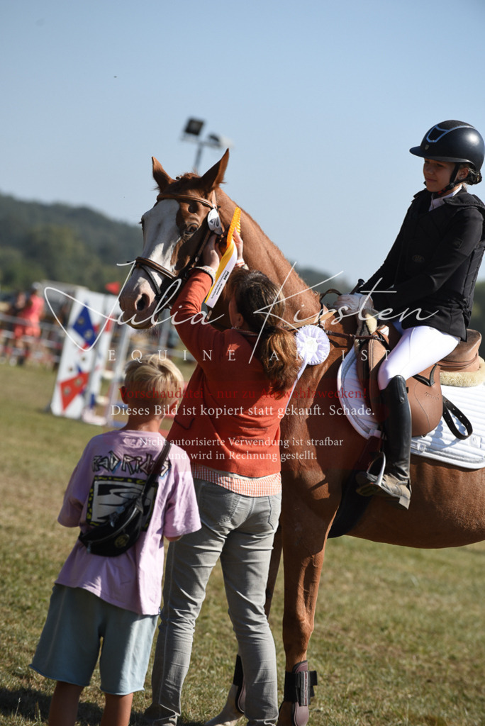DSC_6185 | Pferde- und Turnierfotografie in Westsachsen. Pferdeportraits, Auftragszeichnungen und intuitive Kunst.