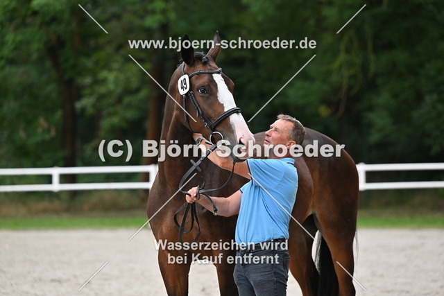 49_Rapunzel von Rocky Lee - Michelangelo_767_6218 | Björn Schroeder Pferdefotografie
