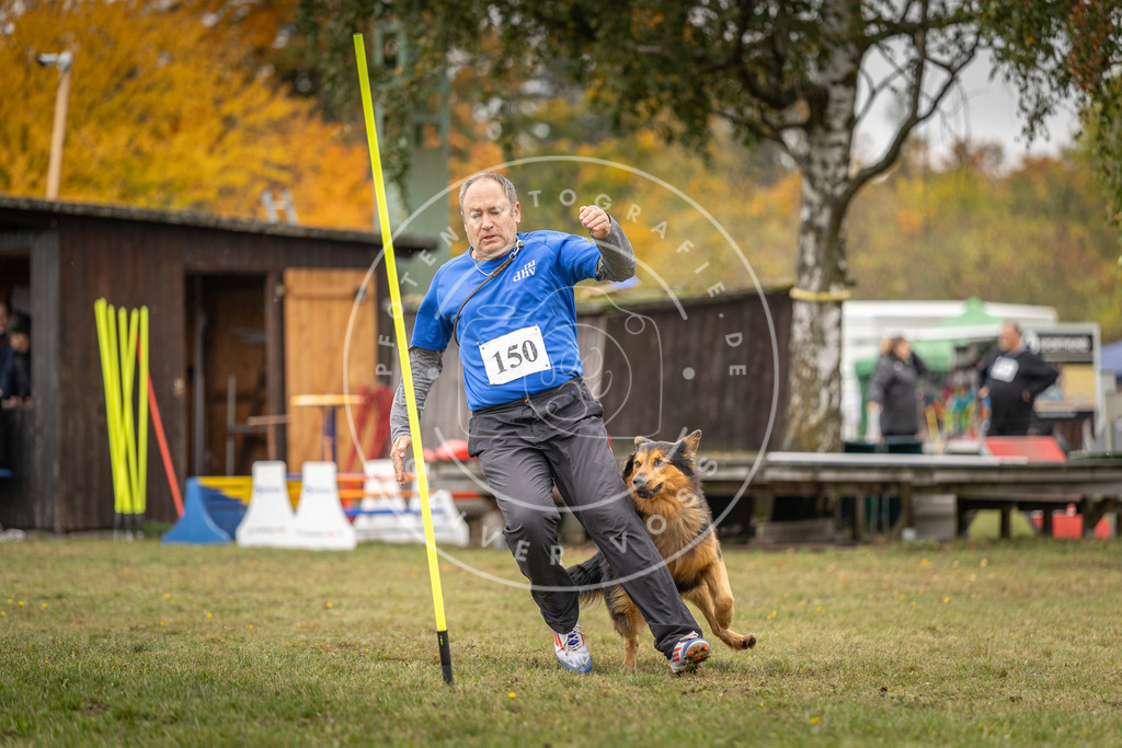 Pfotenfotografie_DV3A6195 | Hundefotografie, Tierfotograf, Pfotenfotografie, Fotoshooting Hund, Hunde Portrait, Hundesport, Hundeportraits, Heideshooting, Hunde, Sportfotograf, Hundefotograf, Turnierhundsport, THS,  - Realisiert mit Pictrs.com