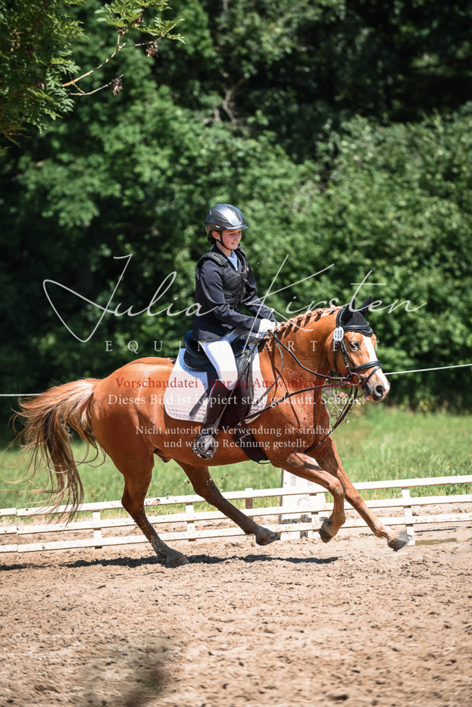 DSC_3268 | Pferde- und Turnierfotografie in Westsachsen. Pferdeportraits, Auftragszeichnungen und intuitive Kunst.