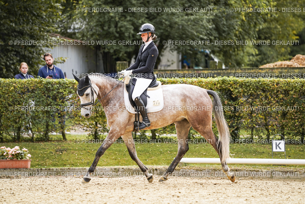 DSC01420 | Pferdegrafie