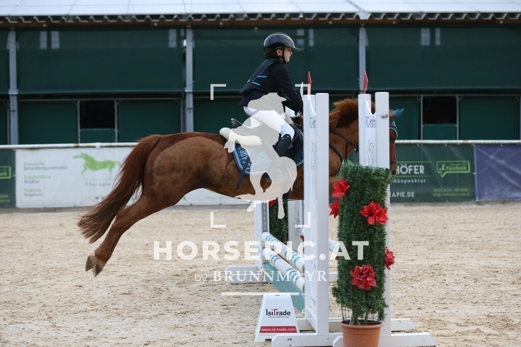 DL2Q5178 | Willkommen bei Brunnmayr - Design & Fotografie – Ihrem Spezialisten für Reitturniere und Pferdeveranstaltungen in Oberösterreich, Salzburg und Bayern! Seit über 17 Jahren sind wir leidenschaftlich dabei.