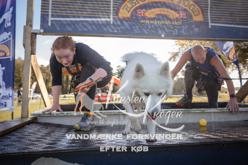 1221_ZZ95723 | kk-dogfotos