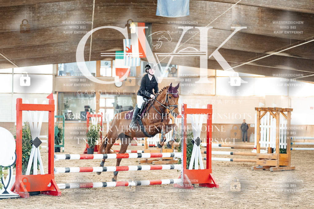 CK903849 | Turnierfotografie Pferdefotografie Trier Rheinland-Pfalz Pferdesport Reitsport Tierfotografie Sportfotografie Pferdevideo Pferdevideografie Equestrianvideography equestrianphotography  - Realisiert mit Pictrs.com