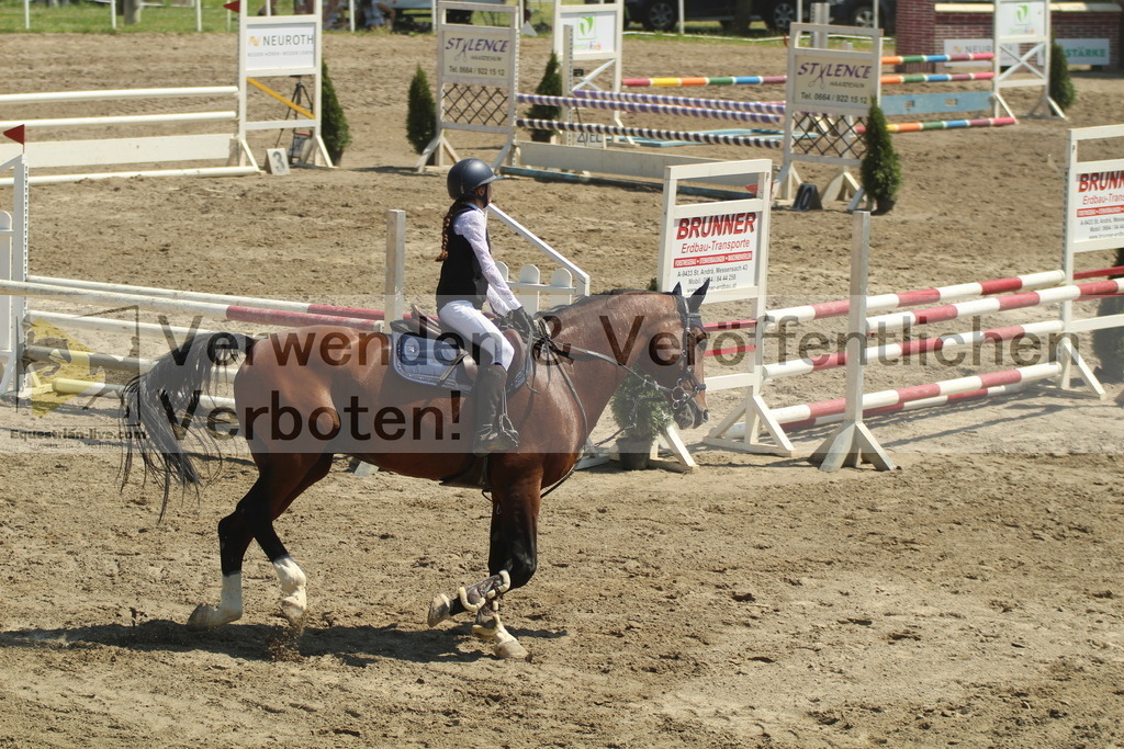 IMG_1983 | equestrian-live-com