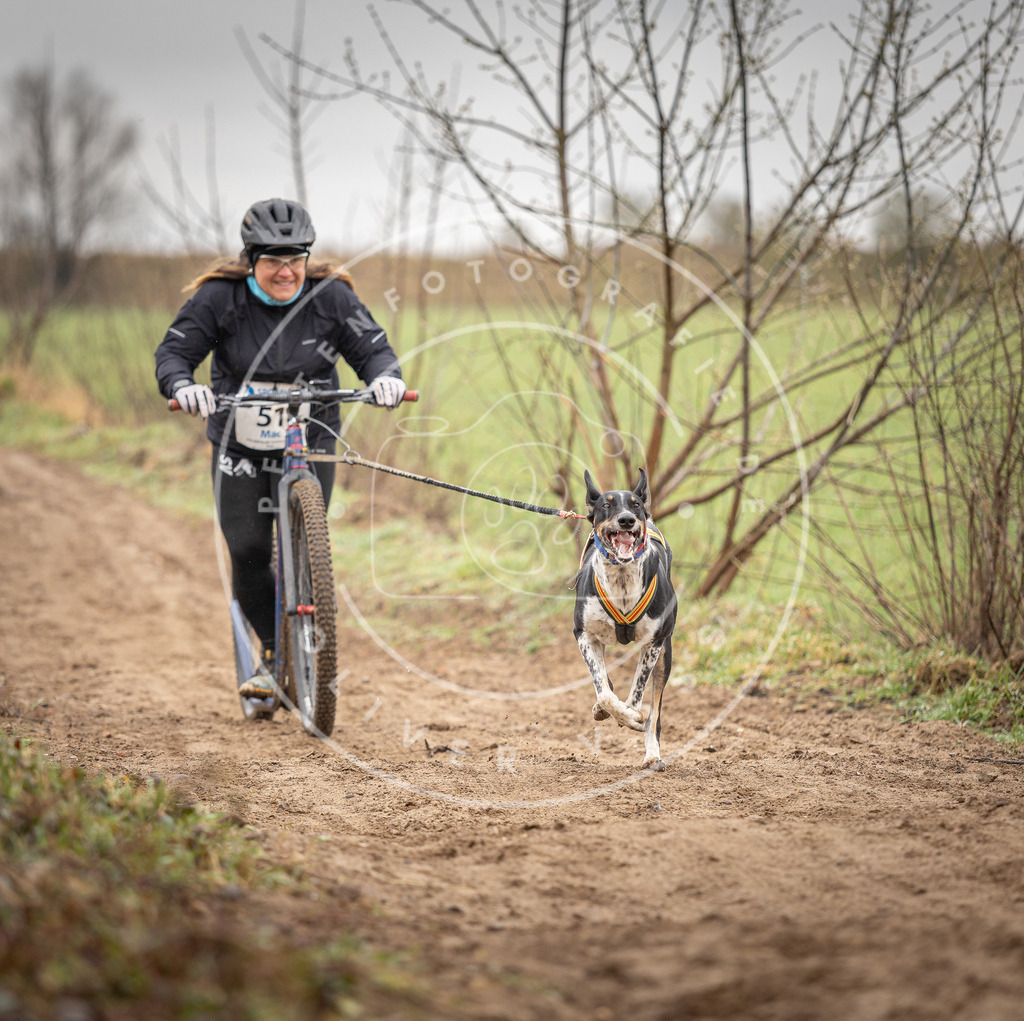 DV3A9251 | Hundefotografie, Tierfotograf, Pfotenfotografie, Fotoshooting Hund, Hunde Portrait, Hundesport, Hundeportraits, Heideshooting, Hunde, Sportfotograf, Hundefotograf, Turnierhundsport, THS,  - Realisiert mit Pictrs.com