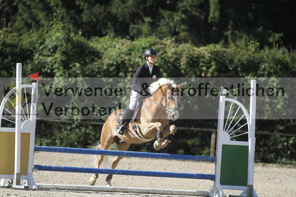 _MG_4288 | equestrian-live-com
