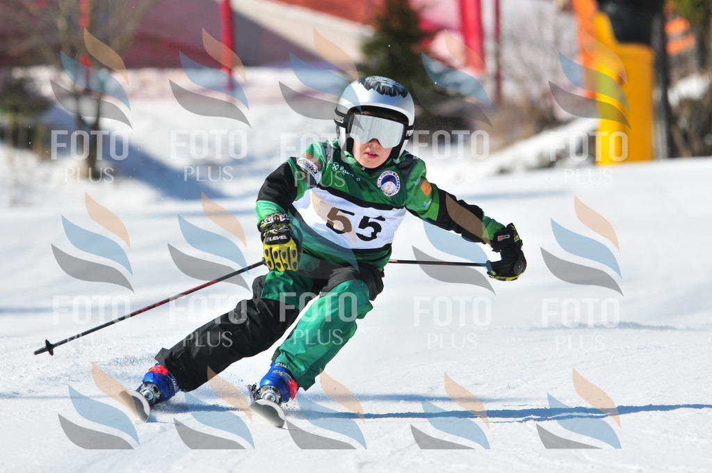 C2886 | holidayphoto