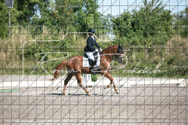 _W6A6554 | ronjaprokoschfotografie - Realisiert mit Pictrs.com