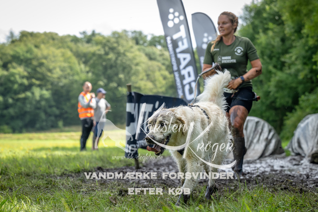 1136_ZZ93713 | kk-dogfotos
