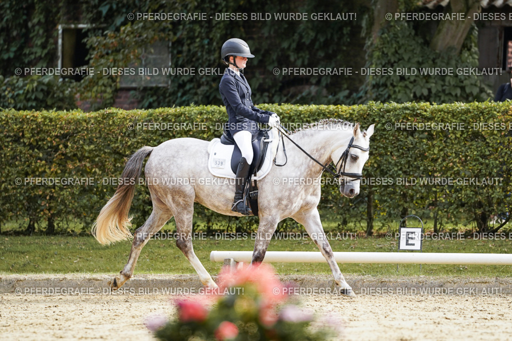 DSC04807 | Pferdegrafie