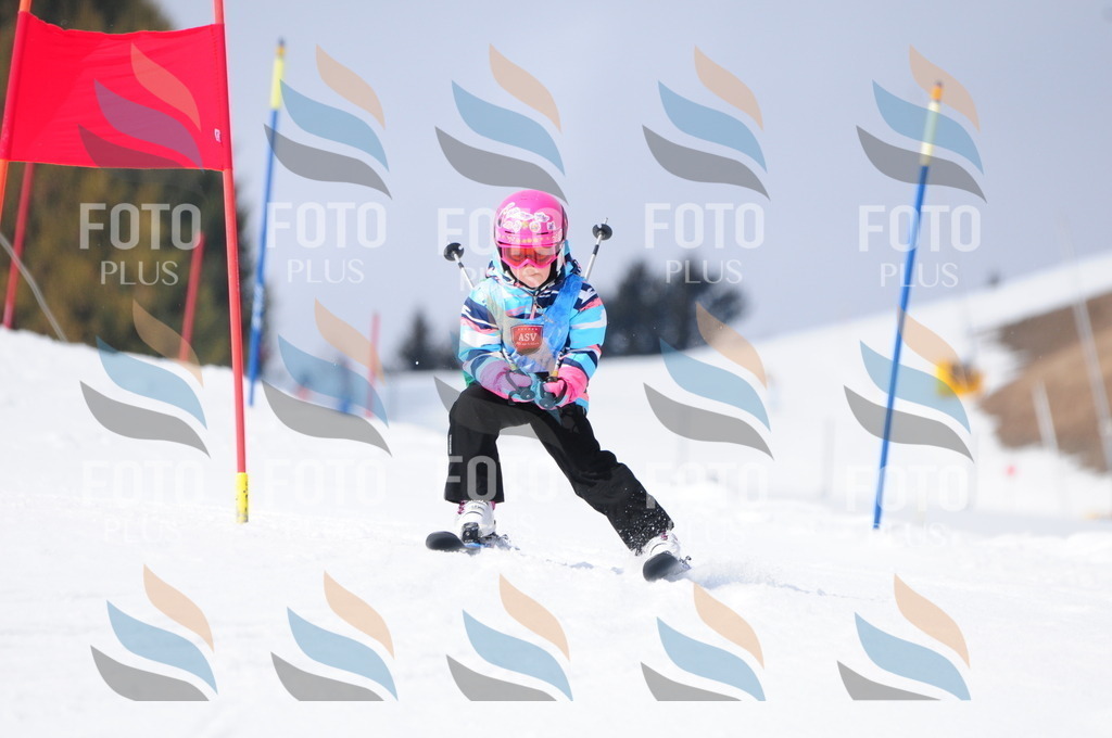 A3643 | holidayphoto