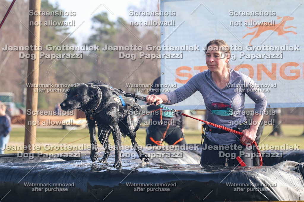 Dog Paparazzi - Strongdog North Mrz26-810 | Dog Paparazzi Jeanette Grottendiek Fotografie & Videografie - Realisiert mit Pictrs.com