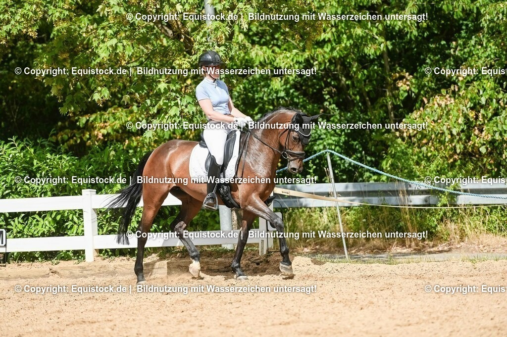 20230715_02_Dressurreiterprüfung Kl.L_0399 | equistock