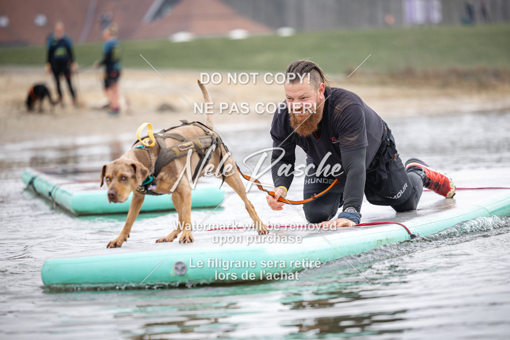 nelerasche_Hulsbeek_Sa1100-1130_402 | nelerasche