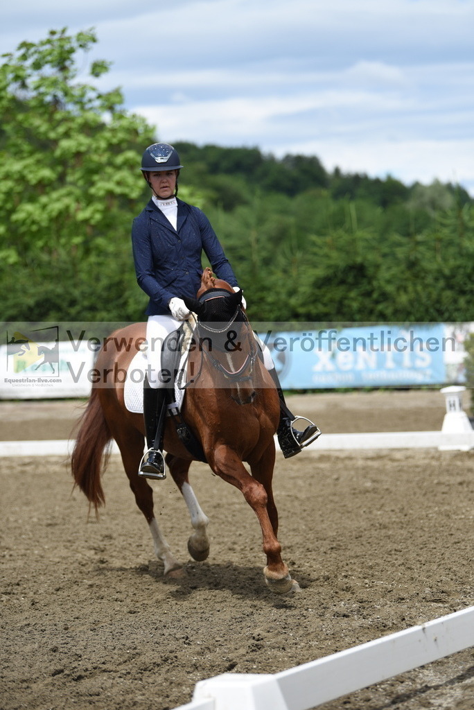 DSC_0947 | equestrian-live-com