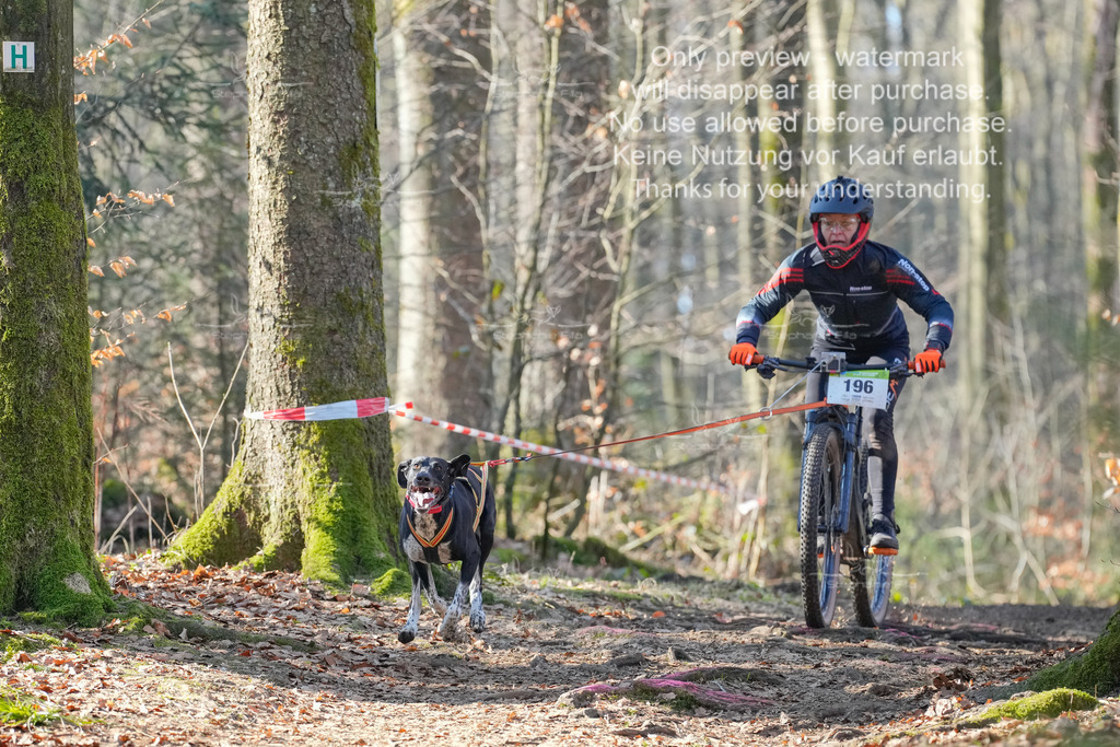 Bike_So-15 | stephaniefillaphotographie - Realisiert mit Pictrs.com