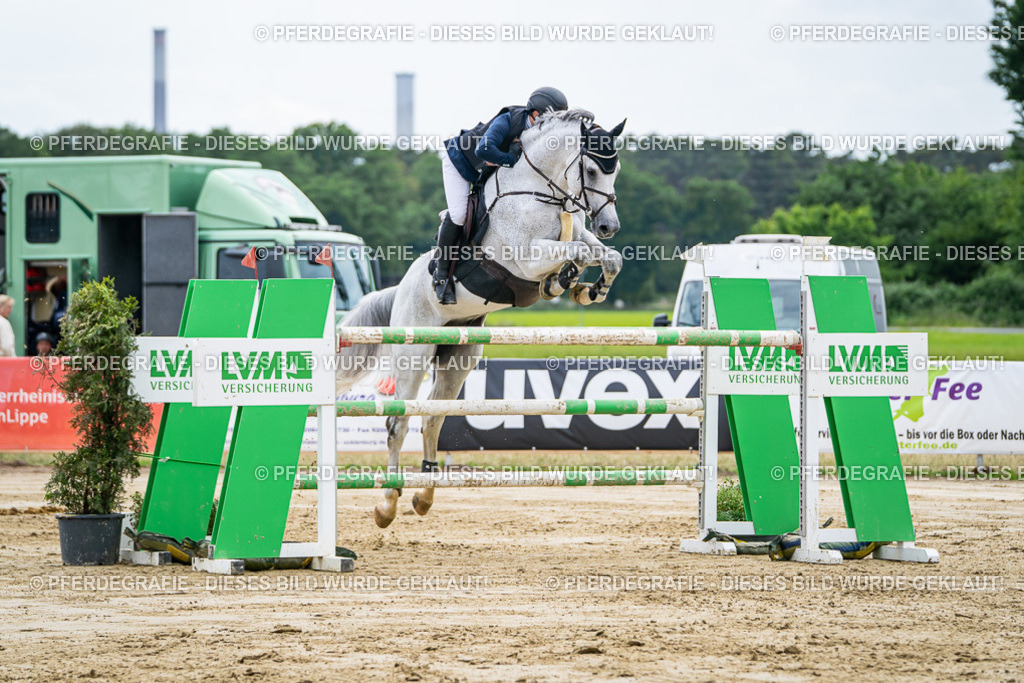 DSC06973 | Pferdegrafie