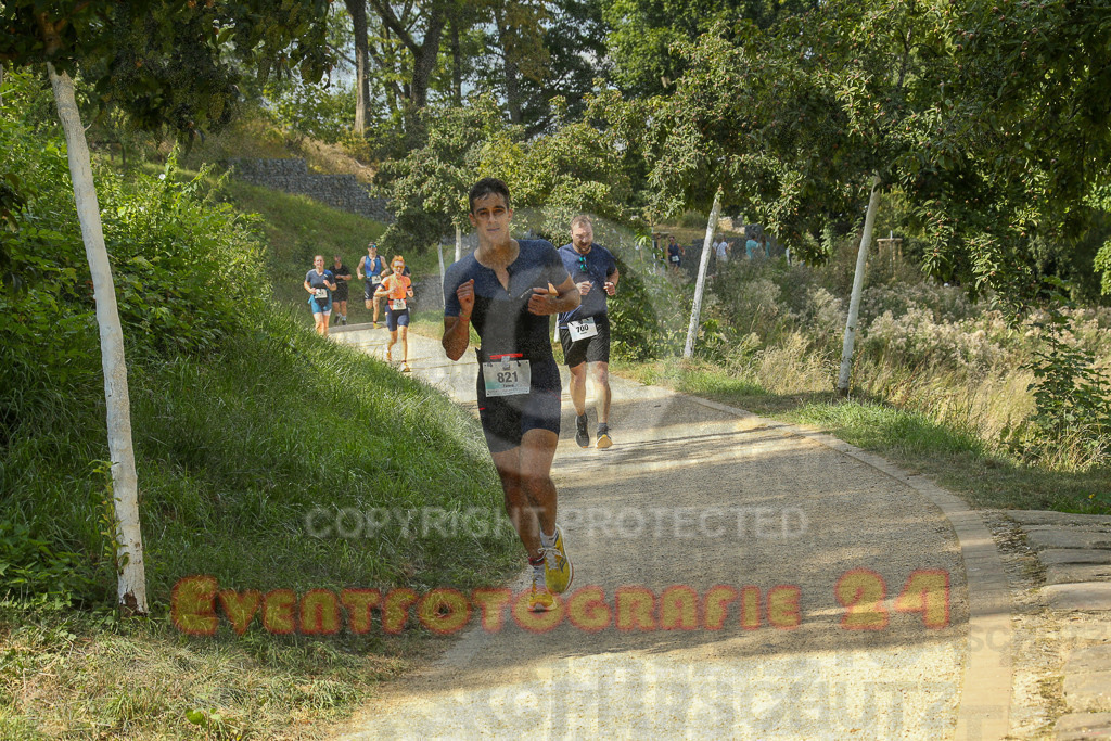 250824_1456_EX1_8081 | Sportfotografie im Rhein-Sieg Kreis, Köln, Bonn, NRW, Rheinland Pfalz, Hessen, etc. Unser Tätigkeitsfeld umfasst den Laufsport vom Volkslauf über den Marathon, Duathlon, Triathon bis zum Ultralauf wie Kölnpfad Ultra oder Schindertrail.