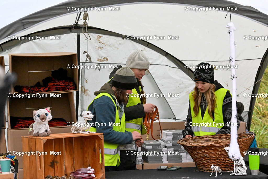 DSC_1805 | Hallo und herzlich Willkommen auf meiner Shop-Seite Fynn Most.

Ich wünsche Dir viel Spaß beim stöbern durch die Bilder, wenn Du Fragen hast oder Bilder vermisst, kannst du mir gerne eine Nachricht schreiben. - Realisiert mit Pictrs.com