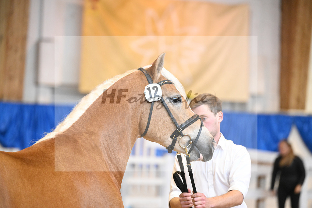 Kat-Nr. 12 Sterzing v. Steingold_Niedermair_60220154 | hf-fotografie - Realisiert mit Pictrs.com