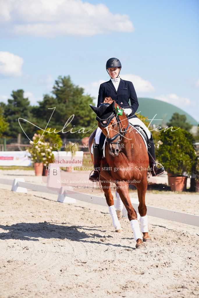 DSC_9764 | Pferde- und Turnierfotografie in Westsachsen. Pferdeportraits, Auftragszeichnungen und intuitive Kunst.