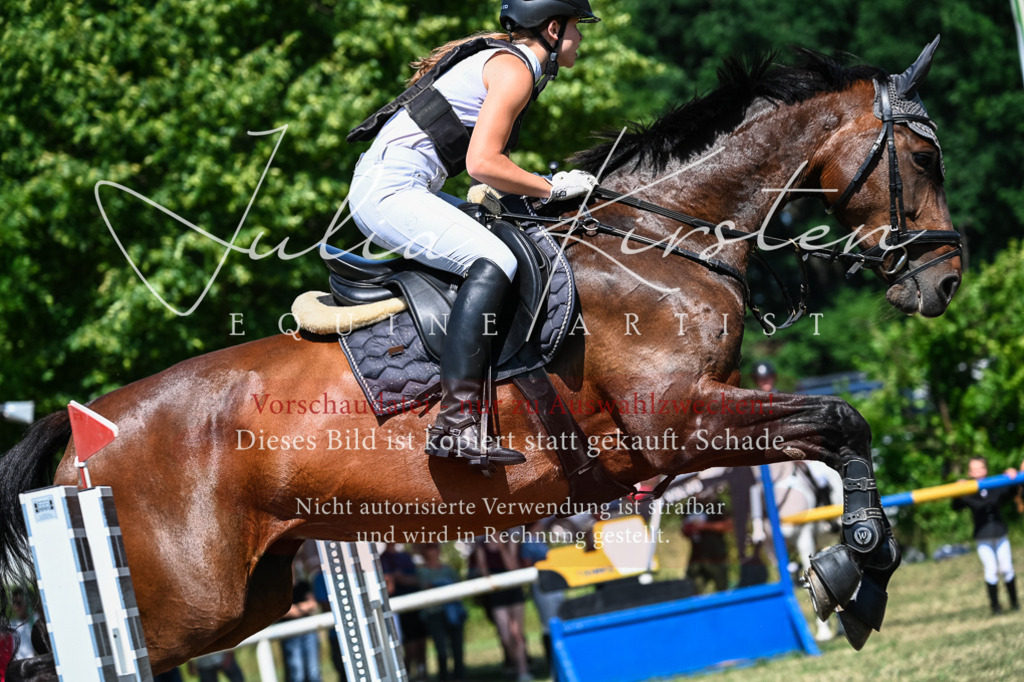 DSC_1067 | Pferde- und Turnierfotografie in Westsachsen. Pferdeportraits, Auftragszeichnungen und intuitive Kunst.
