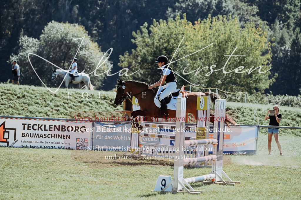 DSC_6148 | Pferde- und Turnierfotografie in Westsachsen. Pferdeportraits, Auftragszeichnungen und intuitive Kunst.