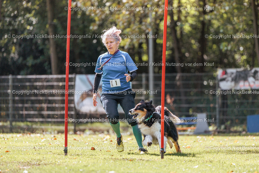 THS-HSV-Blumenthal-2026-Nickbest-Hundefotografie-3637 | Dein Hund! Dein Moment! Deine Erinnerungen! Hundefotografie in Bremen Blumenthal. Ich fange die besonderen Momente deines Vierbeiners ein – ob Indoor mit Blitzanlage oder in der freien Natur. Sicher dir dein Moment und dein Termin für eure Erinnerungen.