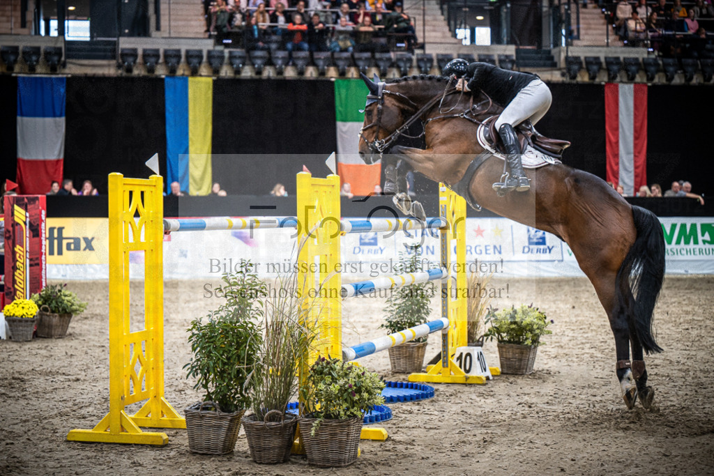 DOS_0558 | Entdecke hochwertige Reitturnierfotos von Foto Oger. Professionell, emotional und authentisch – jetzt Lieblingsmomente im Shop bestellen.Deutschlandweite Turnierfotografie. - Realisiert mit Pictrs.com