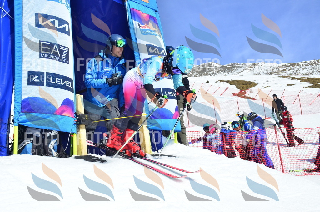 _ELE0909 | holidayphoto