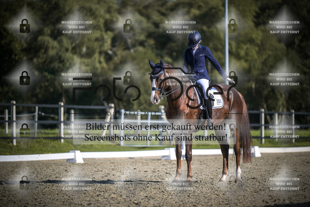 DOS_4894 | Entdecke hochwertige Reitturnierfotos von Foto Oger. Professionell, emotional und authentisch – jetzt Lieblingsmomente im Shop bestellen.Deutschlandweite Turnierfotografie. - Realisiert mit Pictrs.com