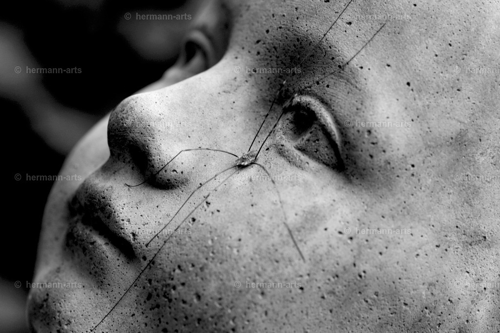 Skulptur-Arts-051 | Photo Foto Kunst Art schwarzweiss Bilder Rheine Münster Berlin Blumen 