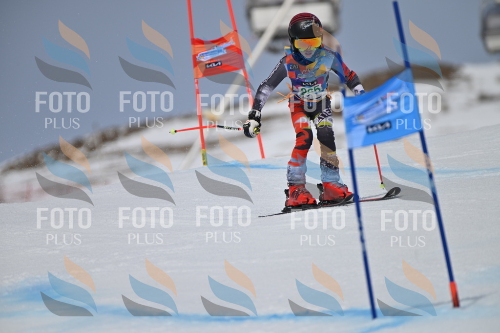 BGV_5257 | holidayphoto