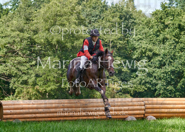 08-23 Bredeneek Jagd_MCH9449_Marina Hewig | Fotografie, FotoArt, PferdesportArt, Pferdesportfotografie, Landschaftsfotografie, Reisefotografie, Reise, Pferde - Realisiert mit Pictrs.com