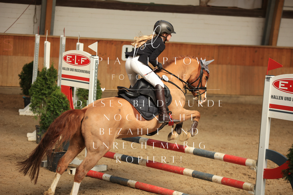 IMGT9364 | pl-fotografie