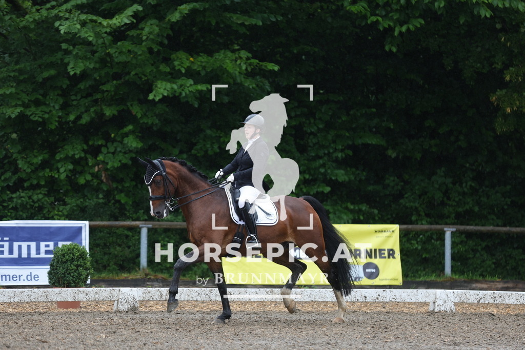 0P6A9155 | Willkommen bei Brunnmayr - Design & Fotografie – Ihrem Spezialisten für Reitturniere und Pferdeveranstaltungen in Oberösterreich, Salzburg und Bayern! Seit über 17 Jahren sind wir leidenschaftlich dabei.