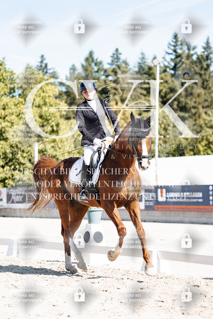 CK908858 | Turnierfotografie Pferdefotografie Trier Rheinland-Pfalz Pferdesport Reitsport Tierfotografie Sportfotografie Pferdevideo Pferdevideografie Equestrianvideography equestrianphotography  - Realisiert mit Pictrs.com