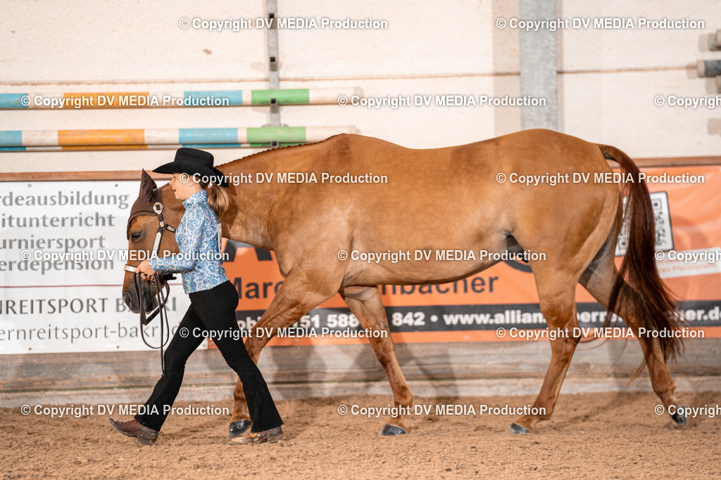 LM Heiligenwald Tag 1-31 | dv-media-shop - Realisiert mit Pictrs.com