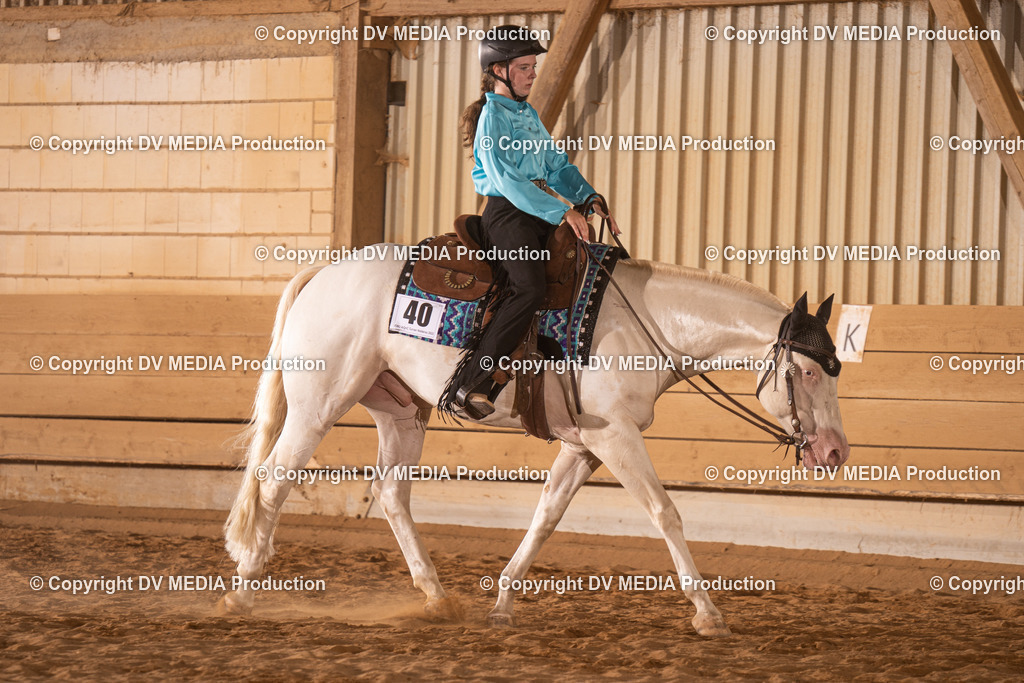 NID00849 | dv-media-shop - Realisiert mit Pictrs.com