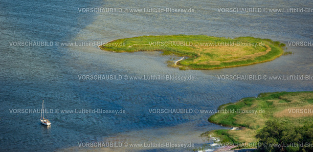 Ostsee16062630Hiddensee_Plogshagen |  Insel Hiddensee, Ostseeküste,Mecklenburg-Vorpommern, Vorpommern, Mecklenburg-Vorpommern, Deutschland
