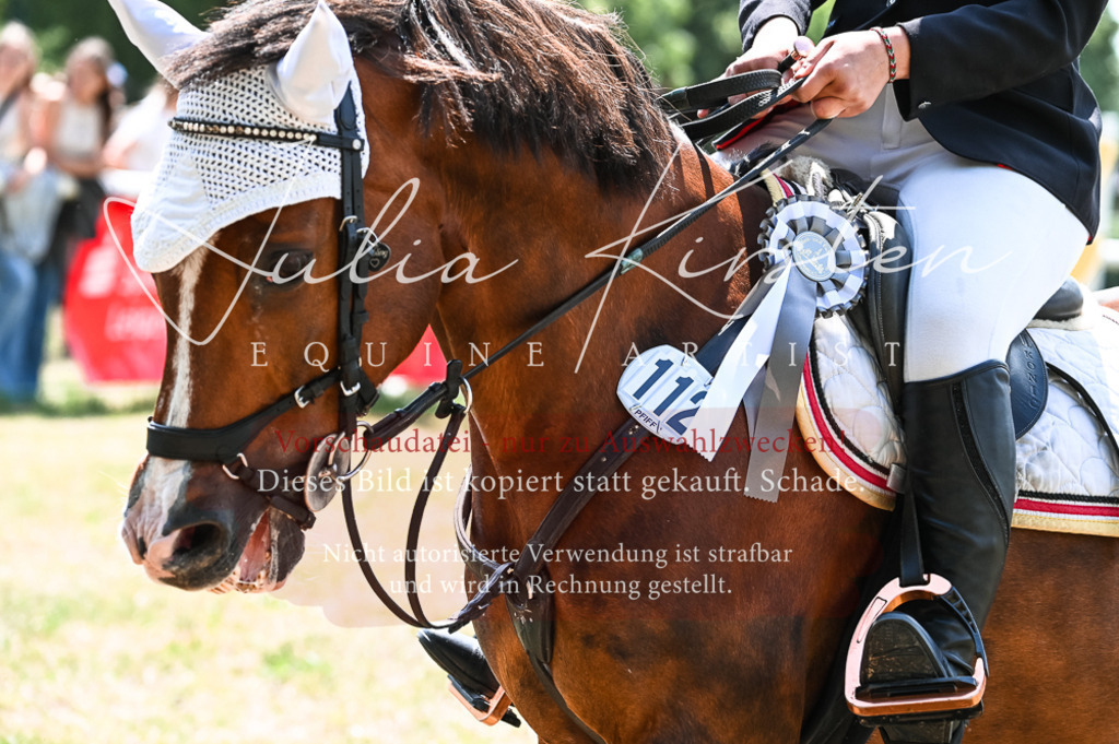 DSC_9526 | Pferde- und Turnierfotografie in Westsachsen. Pferdeportraits, Auftragszeichnungen und intuitive Kunst.